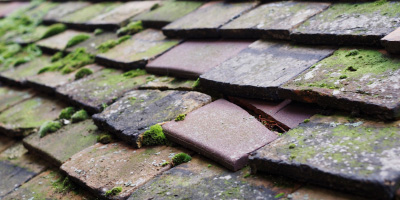 Filching roof repair costs